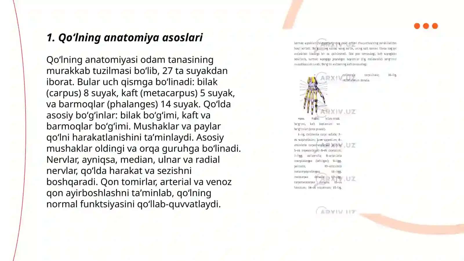 Qoʻlning erkin suyaklari birlashmalari 3