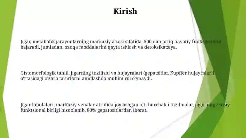 Veterinariya Meditsinasi - Jigar 3