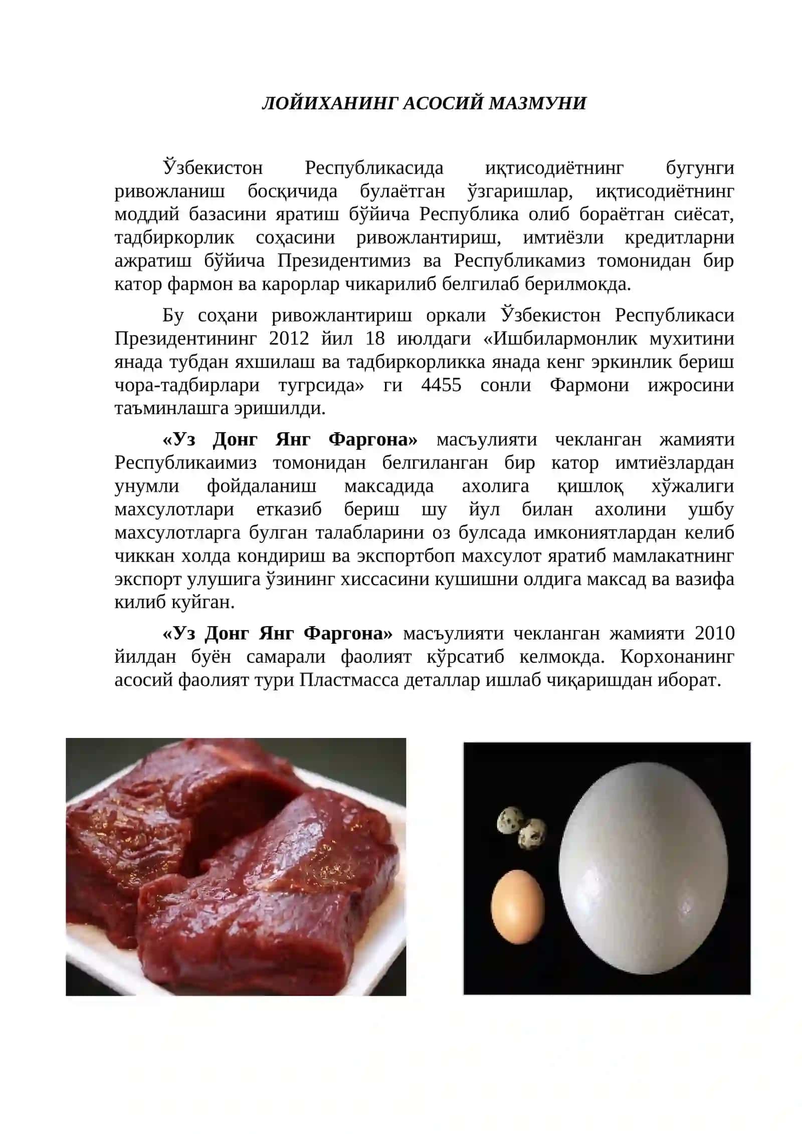 Tuyaqush biznes reja 3
