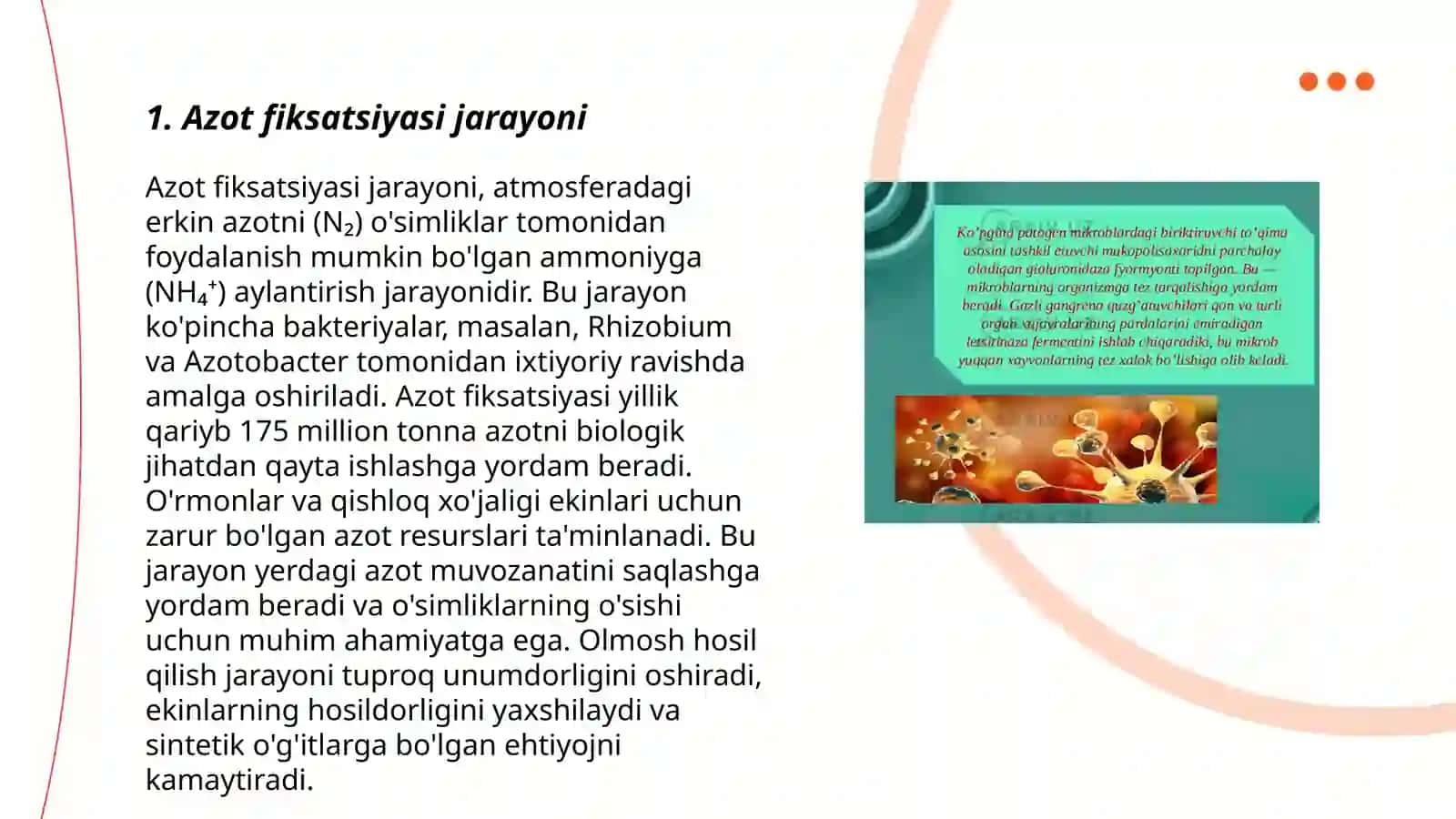 Azot o'zlashtiruvchi bakteriyalar biologiyasi 3