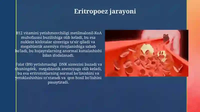 Mis, B12, B9 yetishmovchiligida rivojlanadigan anemiyalarning biokimyoviy asoslari 3
