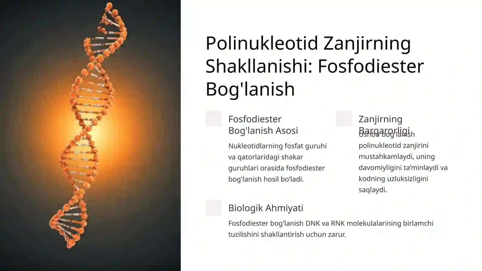Polinukleotidli zanjir va Nuklein Kislotalarning Tuzilishlari 3