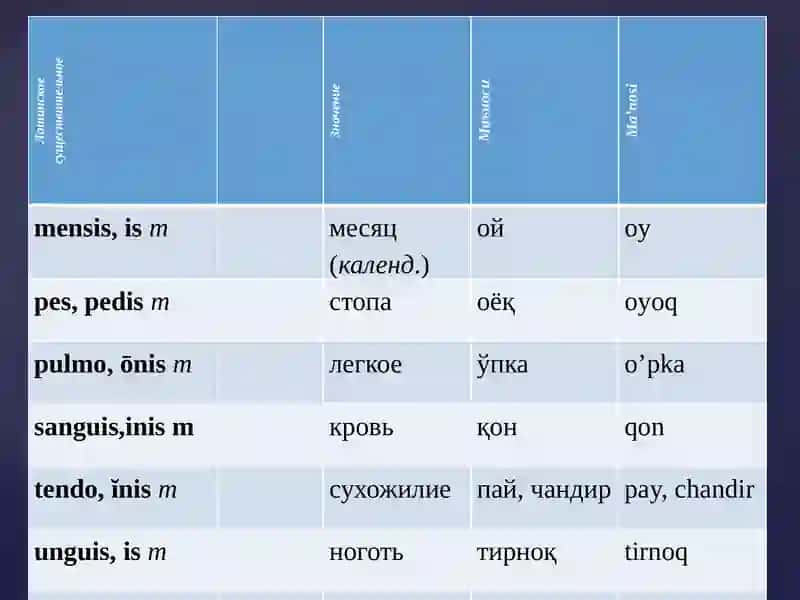 Inviaestinmedicinavia sine lingua Latina! 3