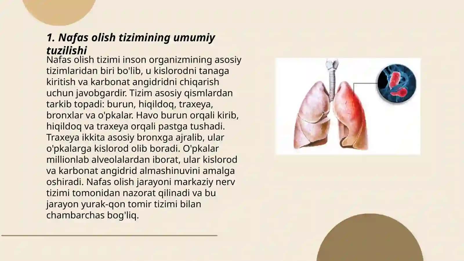 Nafas olish tizimi aʼzolarining qiyosiy gistalogik tavsifi 3
