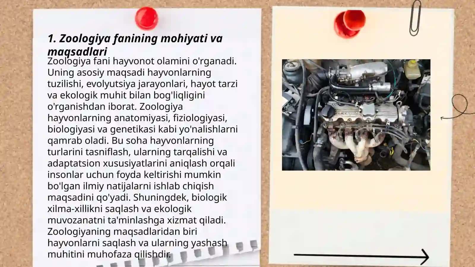zoologiya DTS, yangi tahrirdagi dastur va darslikning tahlili 3