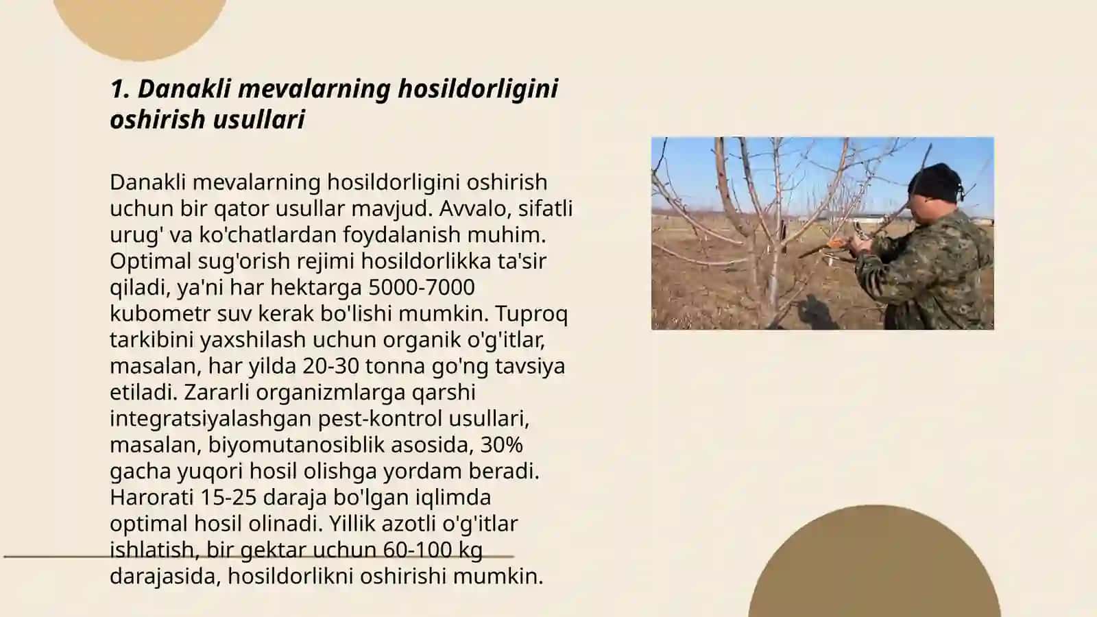 Danakli mevalarni yetishtirish va ularga shakl berish texnalogiyasi 3