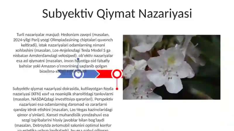 Qiymat to’g’risidagi turli xil nazariyalar 3