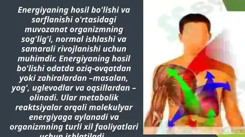 METABOLIZM JARAYONIDA ENERGIYA HOSIL BO'LISHI VA SARFLANISHI 3