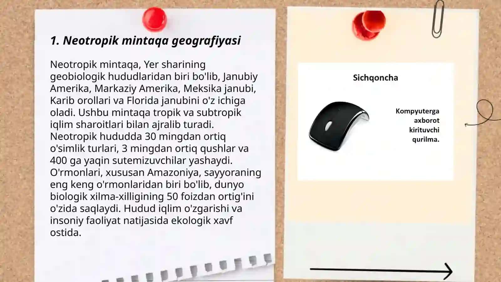 Neotropik Mintaqalar 3