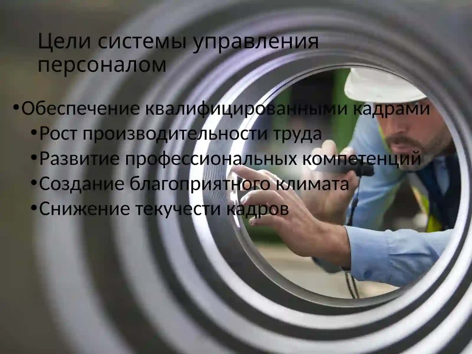 Система управления персоналом организации 3