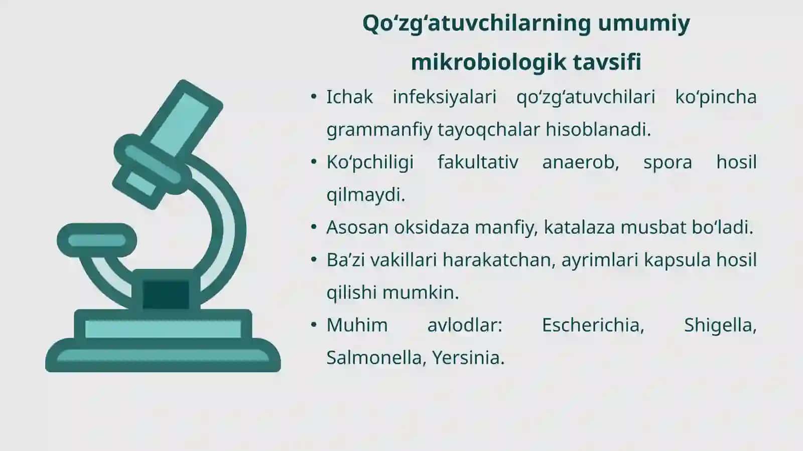Ichak infeksiyalari 3