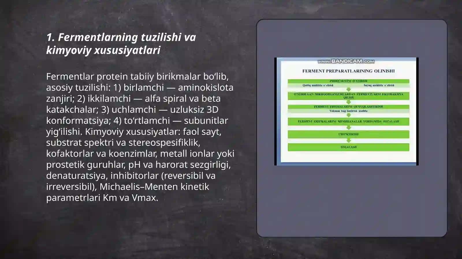 Fermentlar va ularni ishlab chiqarish texnologiyasi 3