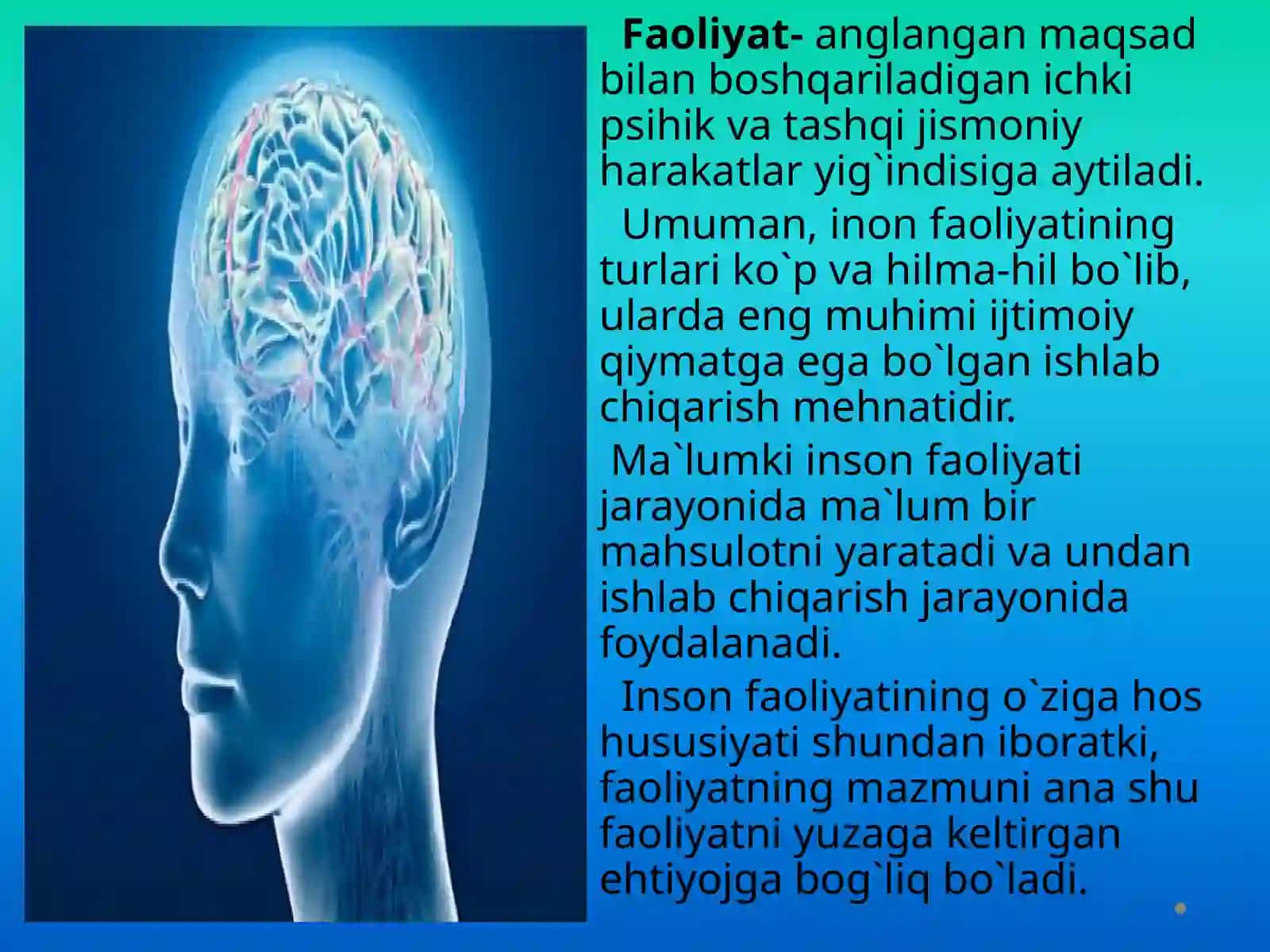 Faoliyat 3