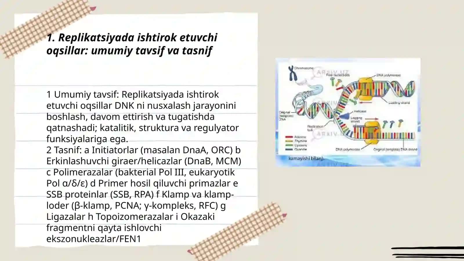 Replikatsiyada qatnashuvchi oqsil xillari mavzusida molekulyar biologiya fanlariga 3
