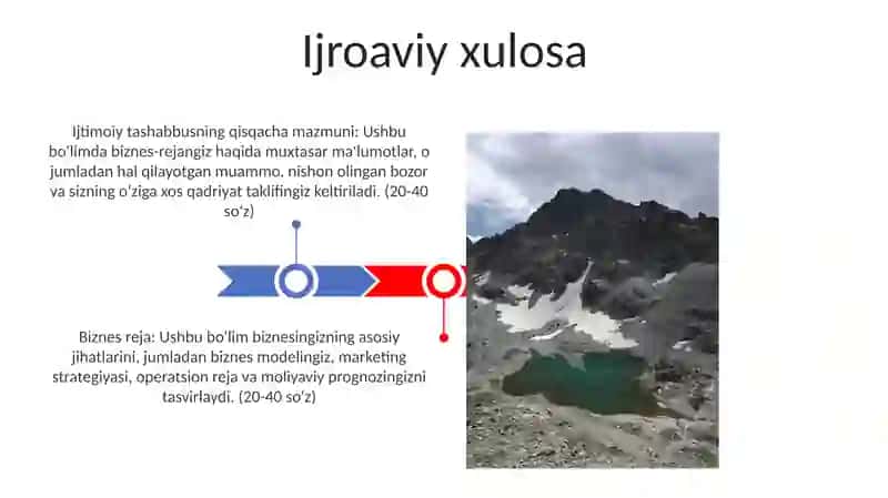 Biznes Reja 3