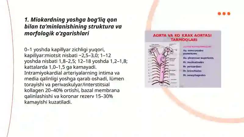 Miokardda qon bilan ta'minlanishni yoshga boğliq xususiyatlari. Bolalar va osmirinlarda yurak qon tomir tizimining funktsional kõrsatkichlarining yosh xususiyatlari 3