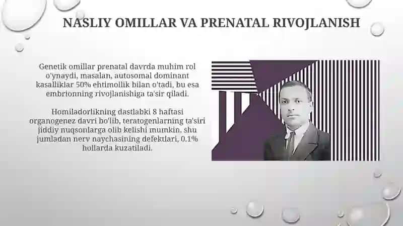 Ontogenezning ilk bosqichilarida insonning psixik rivojlanishiga xos xususiyatlar 3
