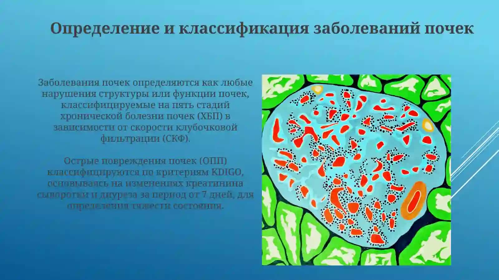 Лечебное дело 2 3