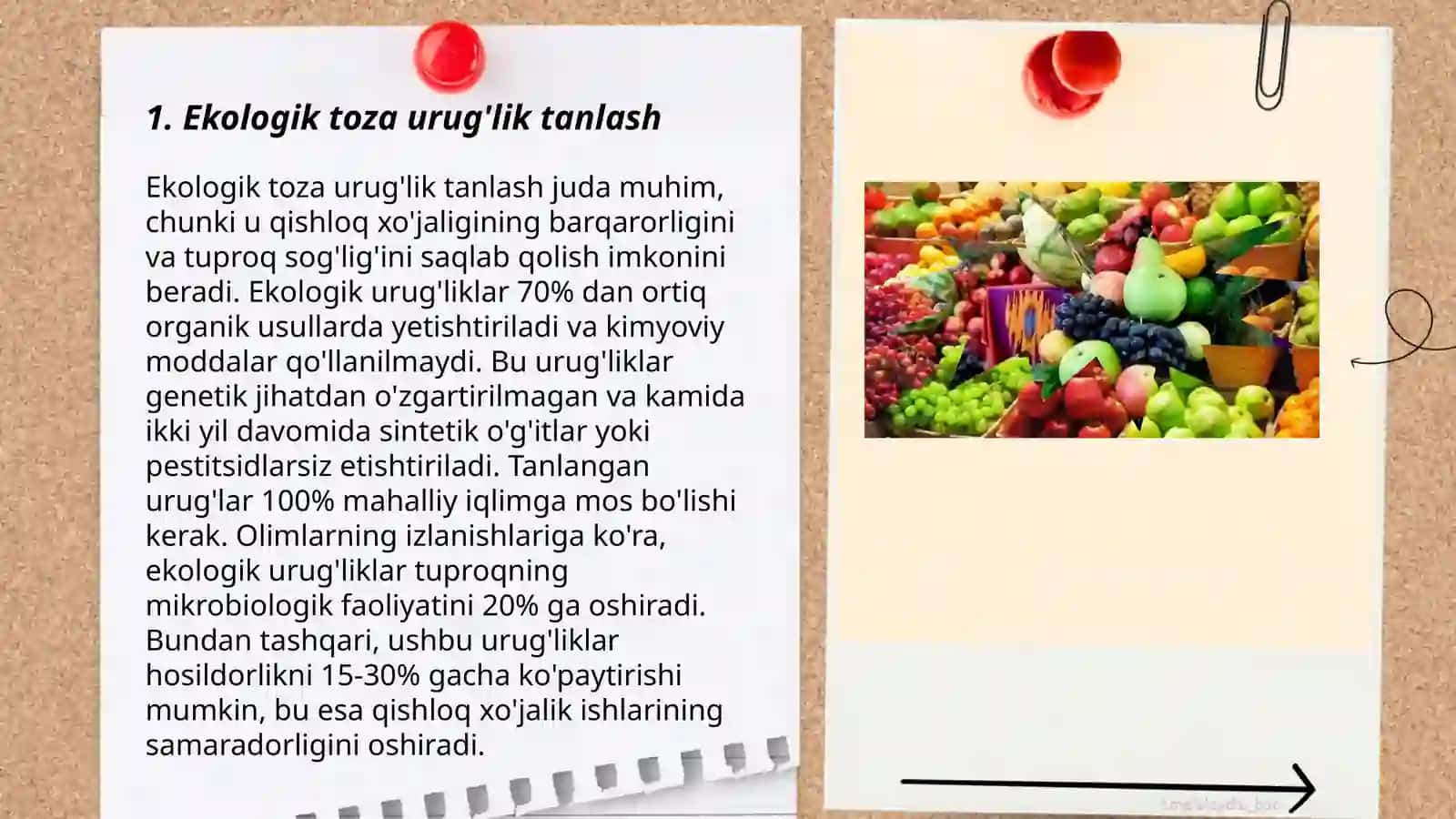 Ekologik toza qishloq xo'jaligi mahsulotlarini yetishtirish 3