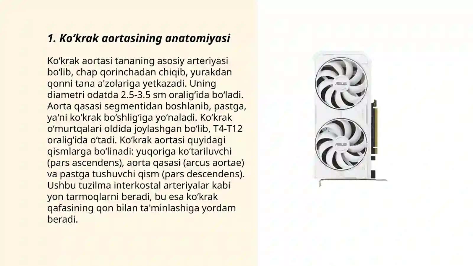 Koʻkrak aortasi va uning shoxlanishi. Qorin aortasi va uning shoxlanishi 3