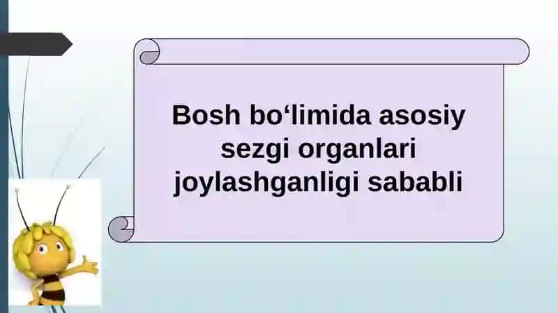HAYVONLARNING TANA QOPLAMLARI VA HARAKAT ORGANLARI EVOLUTSIYASI 3
