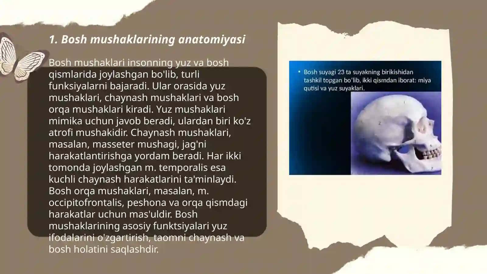 Bosh va bo'yin mushaklari haqida ma'lumot 3