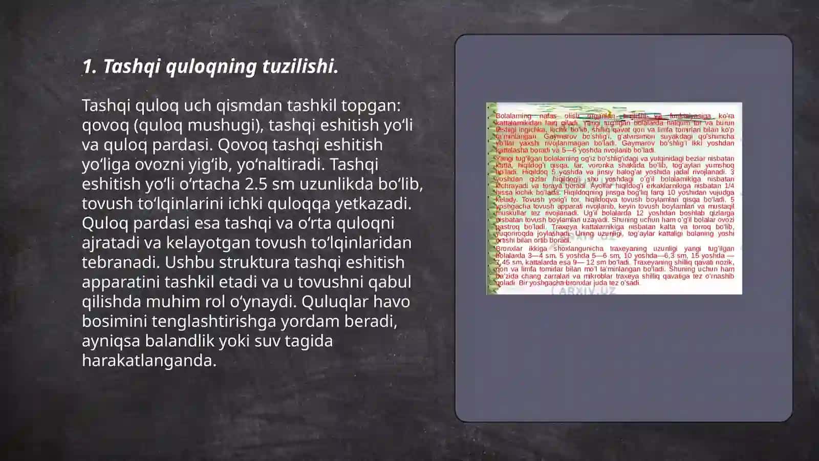 Tashqi quloq faoliyati.Tashqi quloq kasalliklari.O'rta quloq faoliyati.O'rta quloq kasalliklari.Ichki quloq faoliyati.Ichki quloq kasalliklari 3