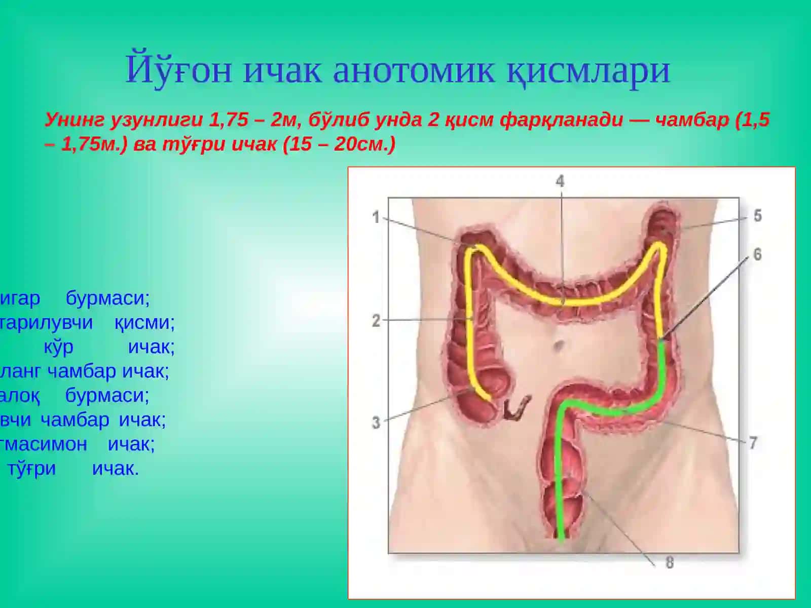 Йўғон ва тўғри ичак хирургик касалликлари Эпидемиологияси 3