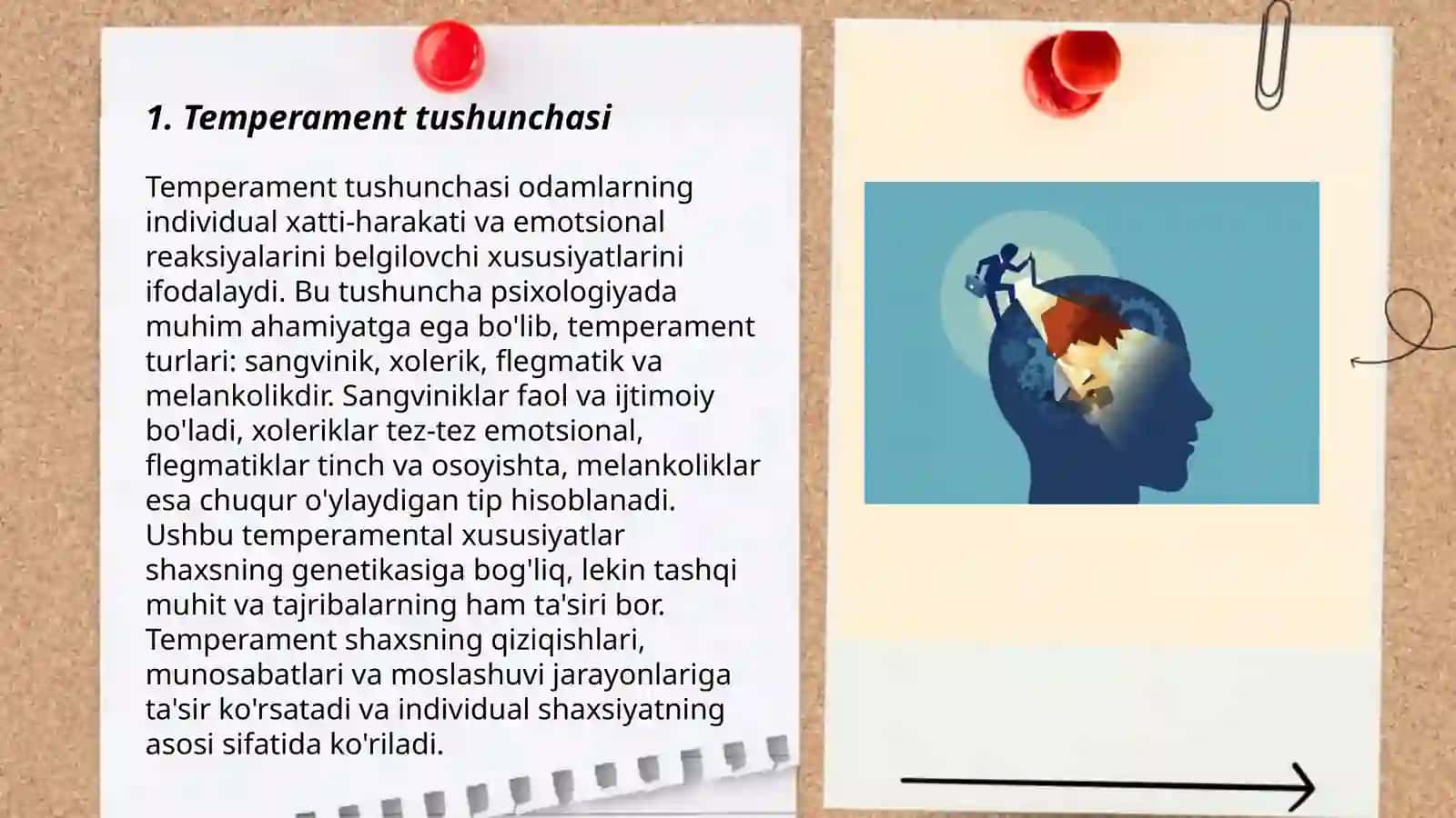 Temperament haqida tushuncha 3
