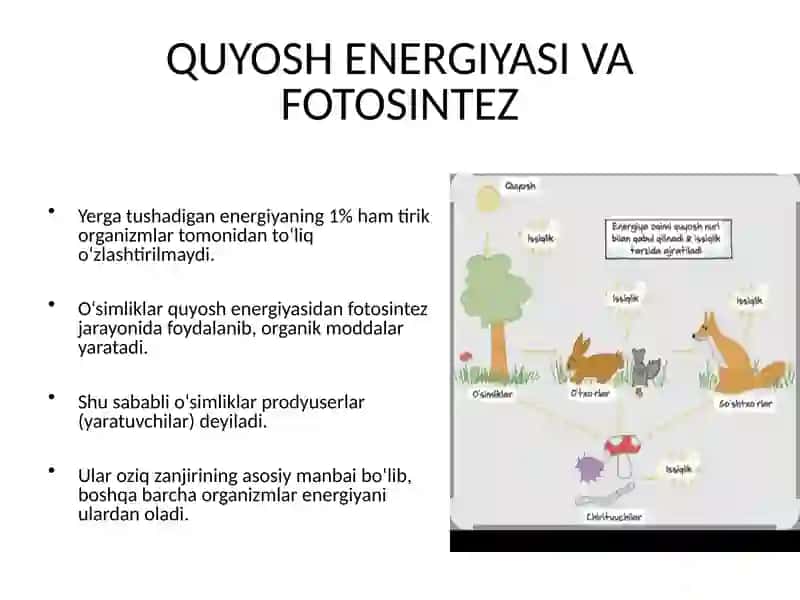 ENERGIYA VA ZAHARLI MODDALAR OQIMI 3