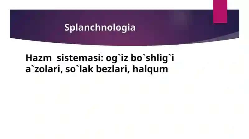 Hazm a’zolarining rengenanatomiyasi va rivojlanish nuqsonlari 3