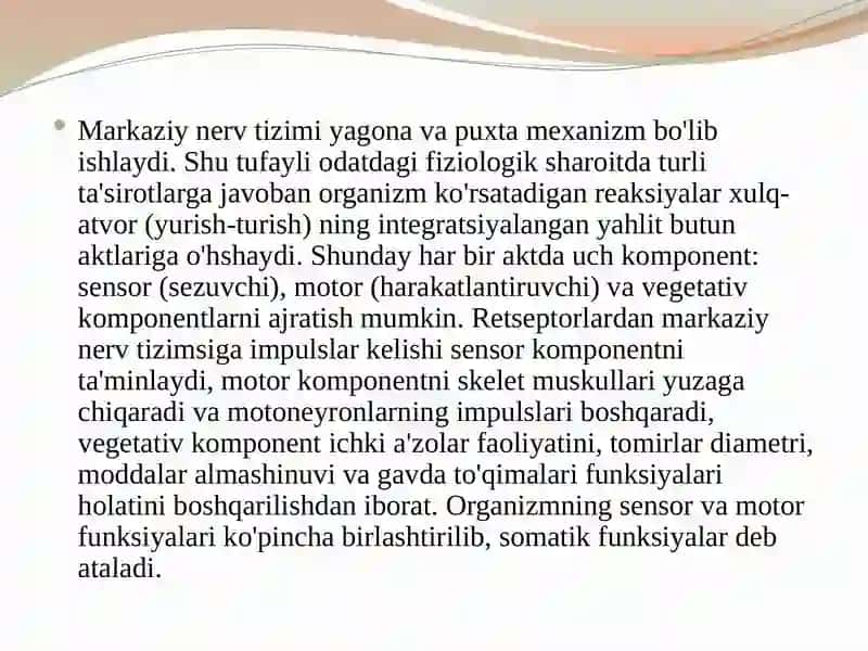 Orqa miya, uzunchoq miya, o‘rta miya va oraliq miya fiziologiyasi 3