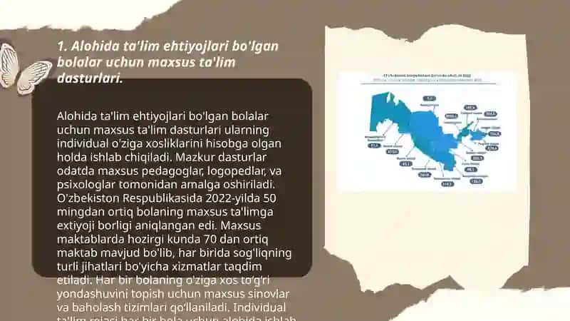 Alohida ta'lim ehtiyojlari bo'lgan bolalarga ta'lim-tarbiya berish tizimi 3