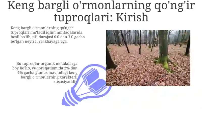 Keng bargli oʻrmonlarning qoʻngʻir tuproqlari 3