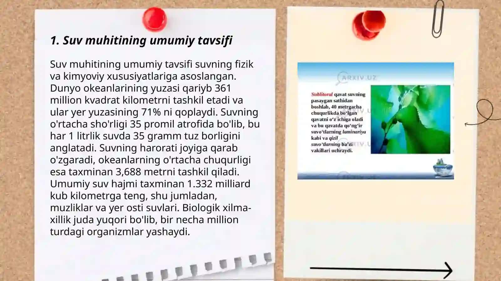 Suv muhiti tuban o‘simliklari va ularning ahamiyati 3