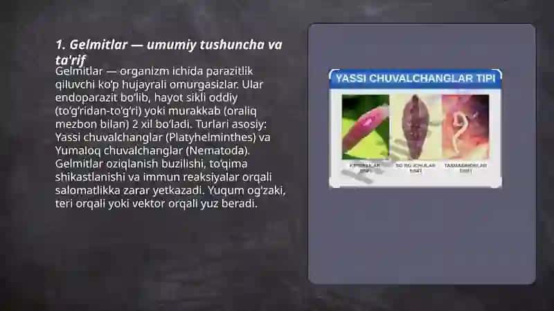 Gelmitlar haqida tushuncha 3
