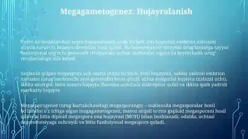 Megasporogenez va urugʻchi gametofetning rivojlanishi 3