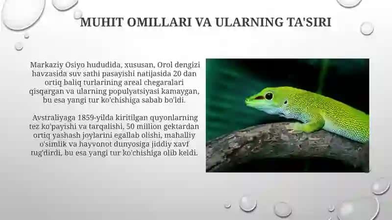 Umurtqali hayvonlarning tabiy tarqalishi va yangi turlarining kirip kelish sabablari 3