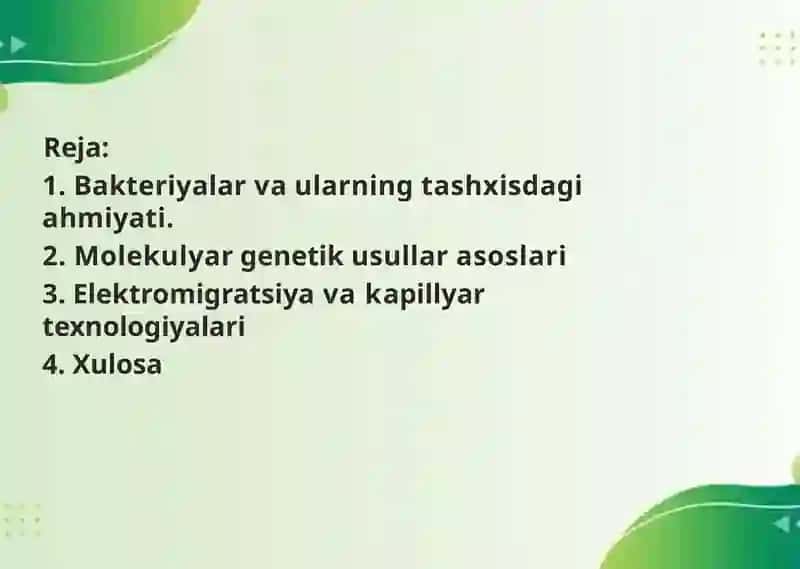 Mavzu: Bakteriyalar va ularning tashxisdagi ahamiyati 3