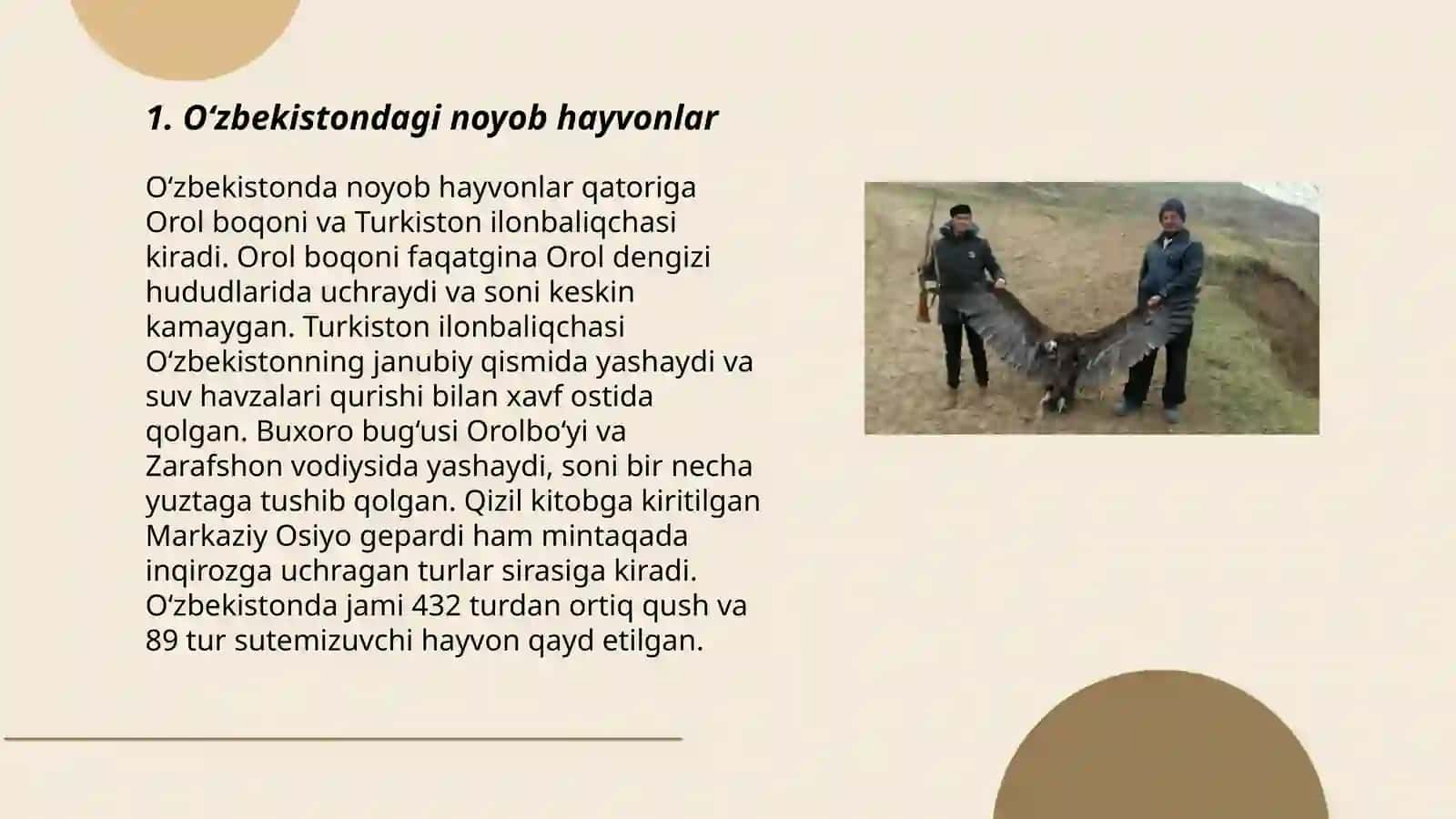 O‘rta Osiyoning noyob va qizil kitobga kiritilgan hayvonlari 3