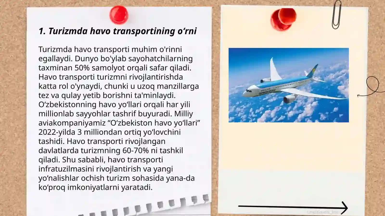 Turizm transport xizmatlarida turistlarga havo transportida xizmat koʻrsatish 3