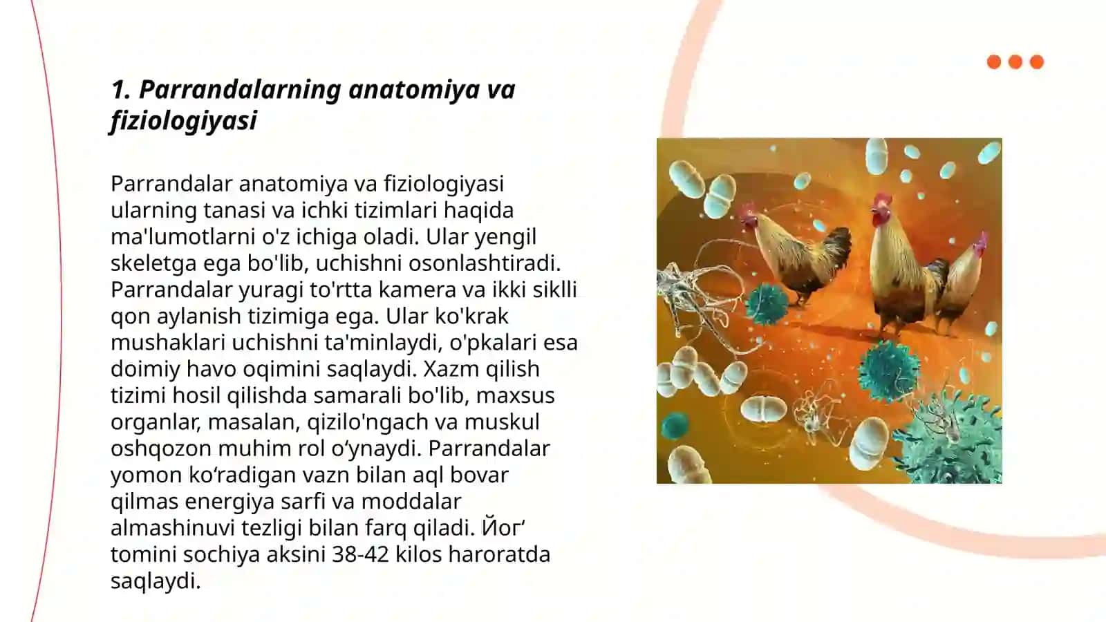 Parrandalarning anatomiya va fiziologiyasi 3