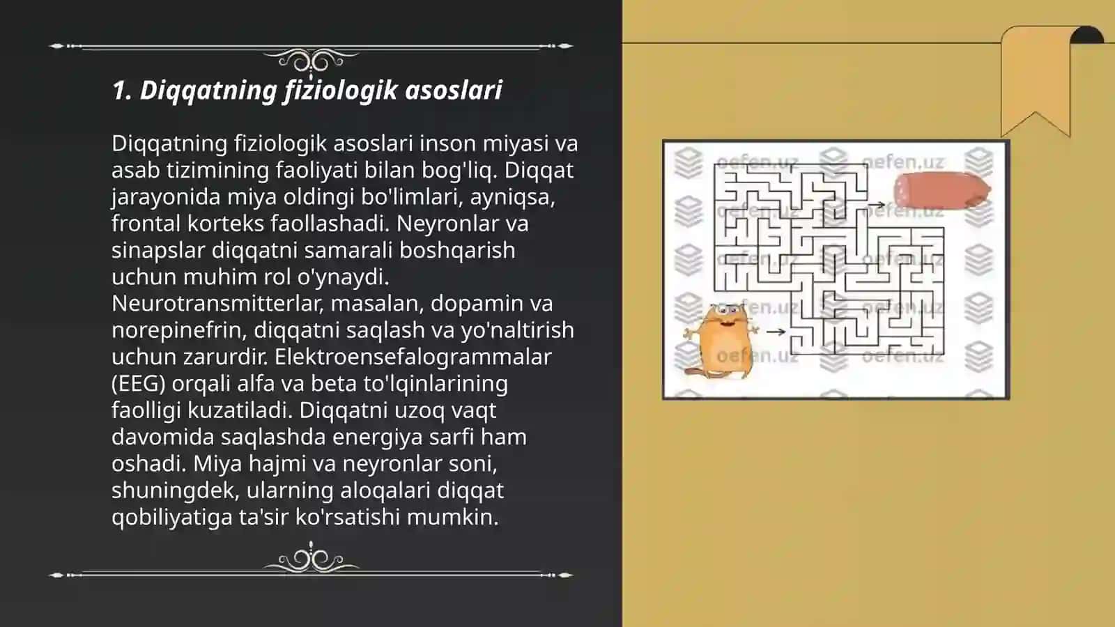 Diqqatning psixofiziologik indekatorlari va mexanizmlari 3