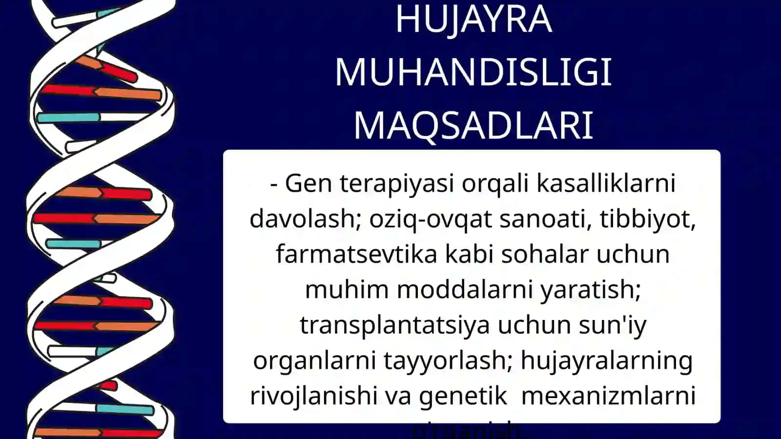 HUJAYRA MUHANDISLIGI 3