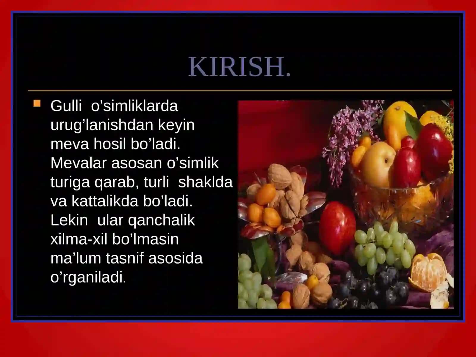 O’simliklar anatomiyasi va morfologiyasi 3