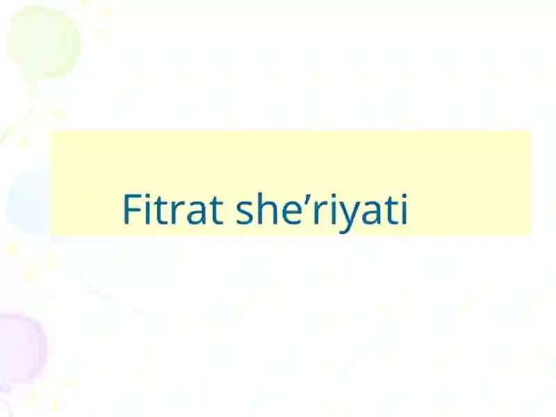 Abdurauf Fitrat (1886-1938) "O’zbek adabiyoti tarixi" fanidan taqdimoti 3