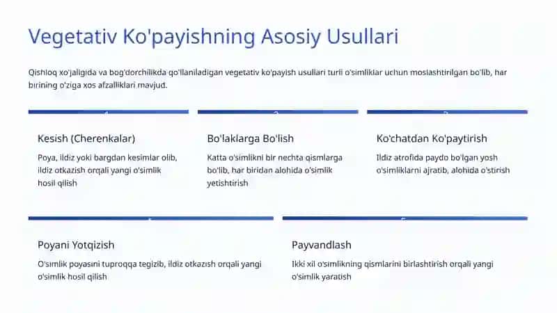 O'simliklarning Vegetativ Ko'payishi: Tabiatdagi Hayotiy Sirlar 3