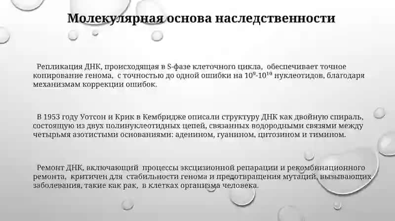Молекулярные основы наследственности. Строение ДНК. Репликация ДНК. Репарация 3