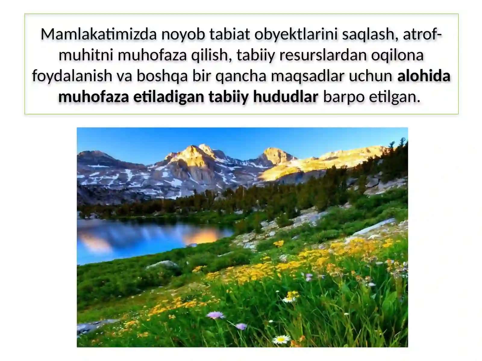 VATANIMIZNING MUHOFAZA ETILADIGAN TABIIY OBYEKTLARI 3