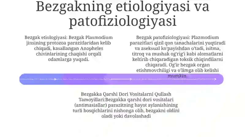 Bezgakka Qarshi Dori Vositalarni Qullash Tamoyillari 3